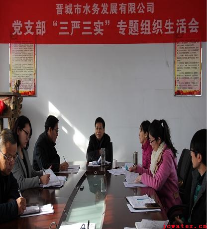 市水務(wù)公司黨支部召開(kāi)“三嚴三實(shí)”專(zhuān)題組織生活會(huì )